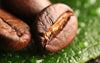 El origen del Cafe en Grano
