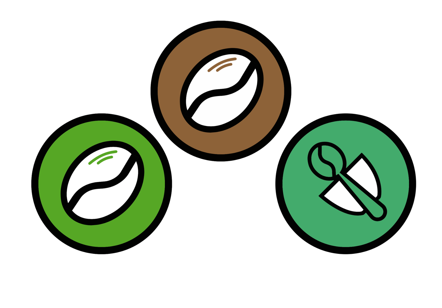 Curso de Tostado , Café Verde  y Catación | ICHCA®